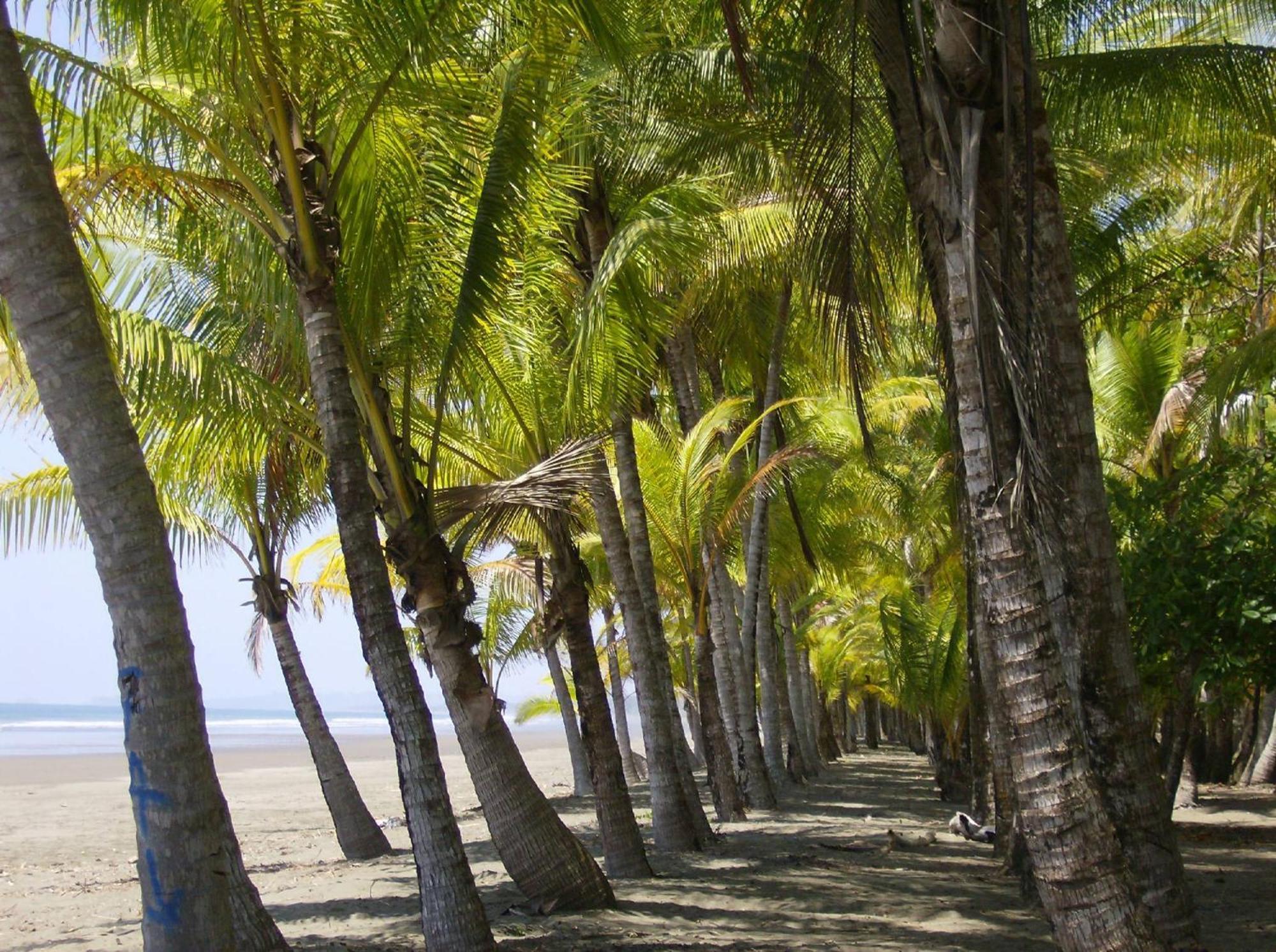 La Palapa Ecolodge Portalon Exterior photo