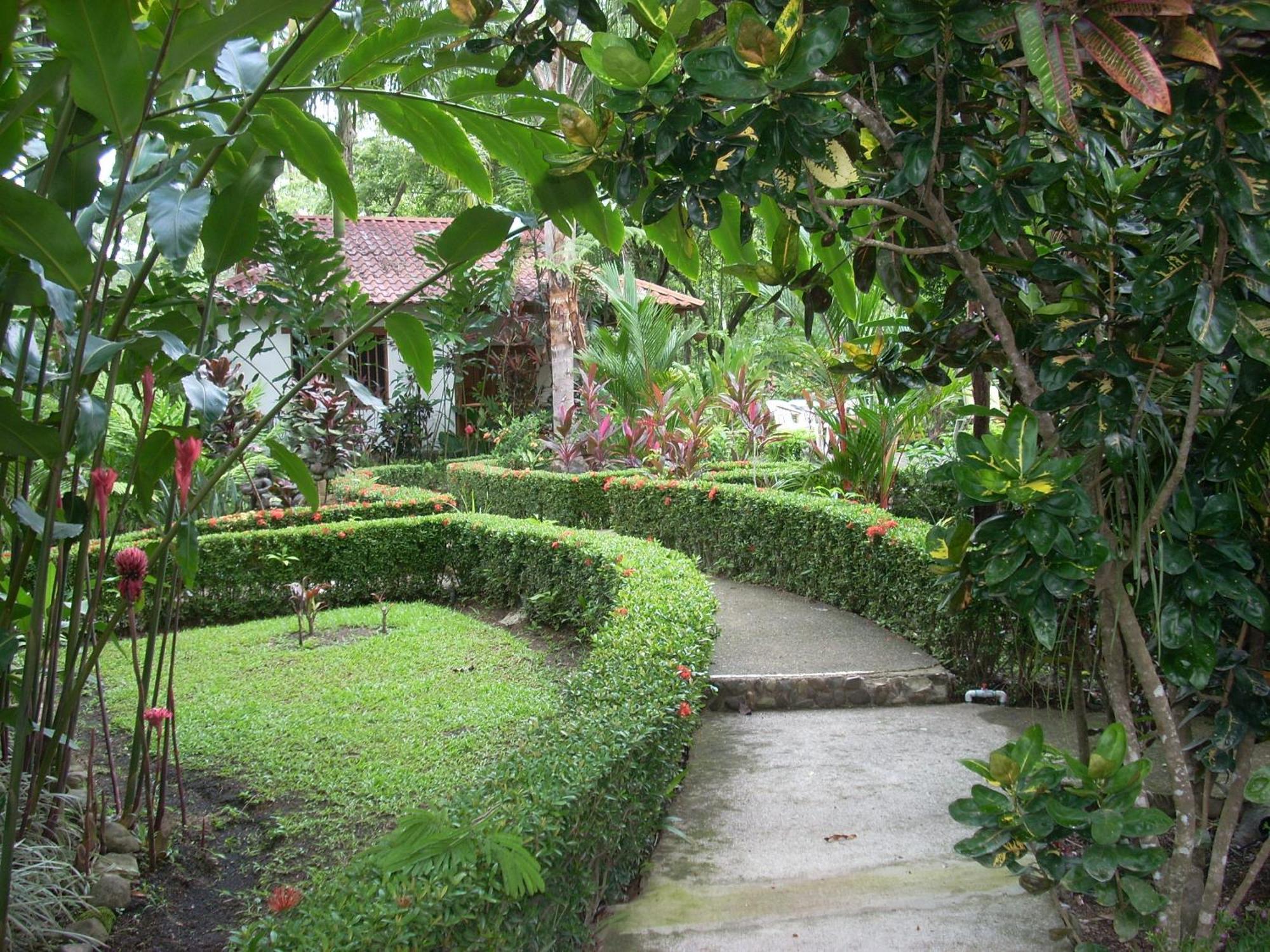 La Palapa Ecolodge Portalon Exterior photo