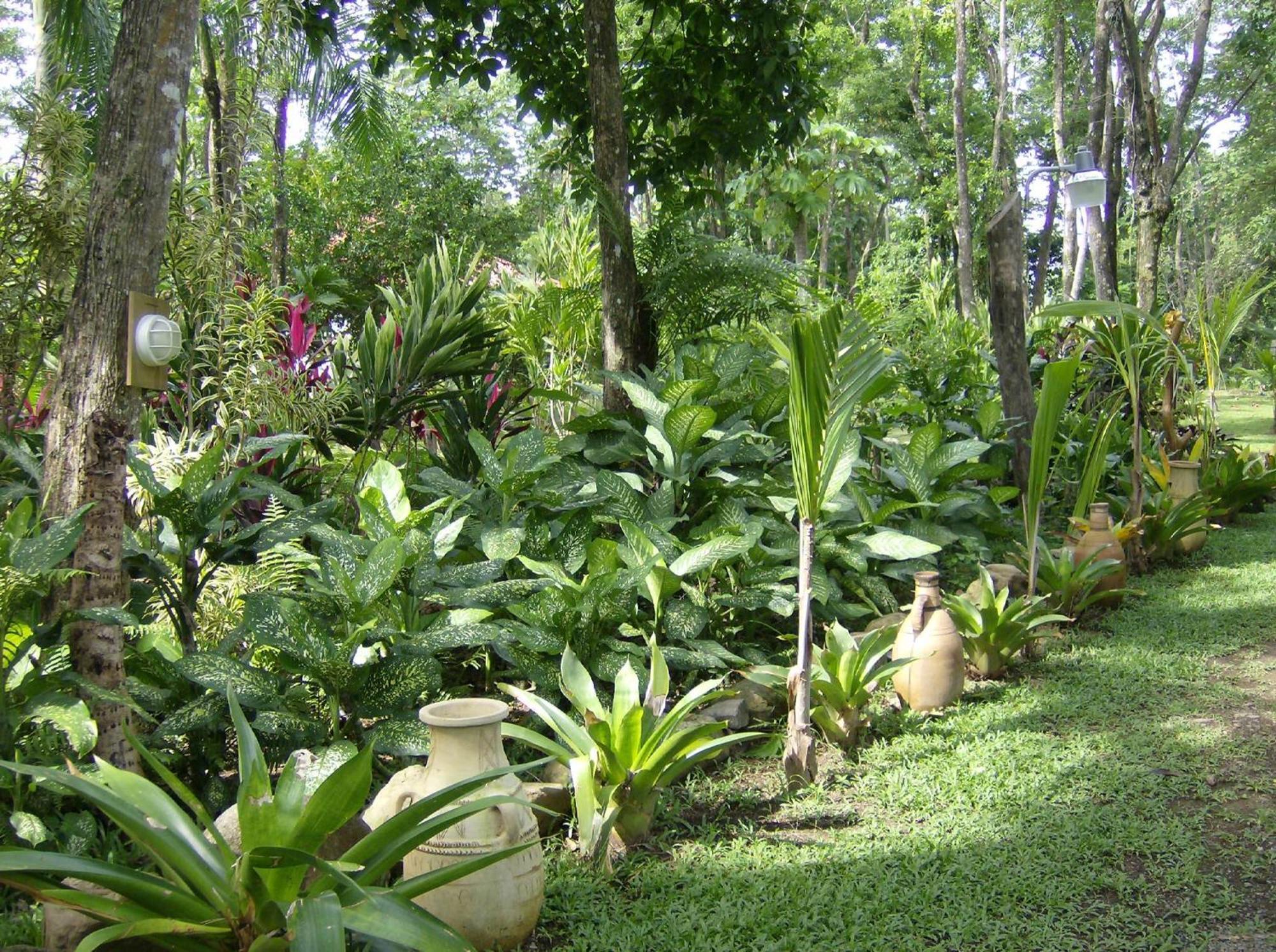 La Palapa Ecolodge Portalon Exterior photo