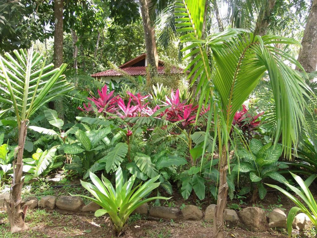 La Palapa Ecolodge Portalon Exterior photo